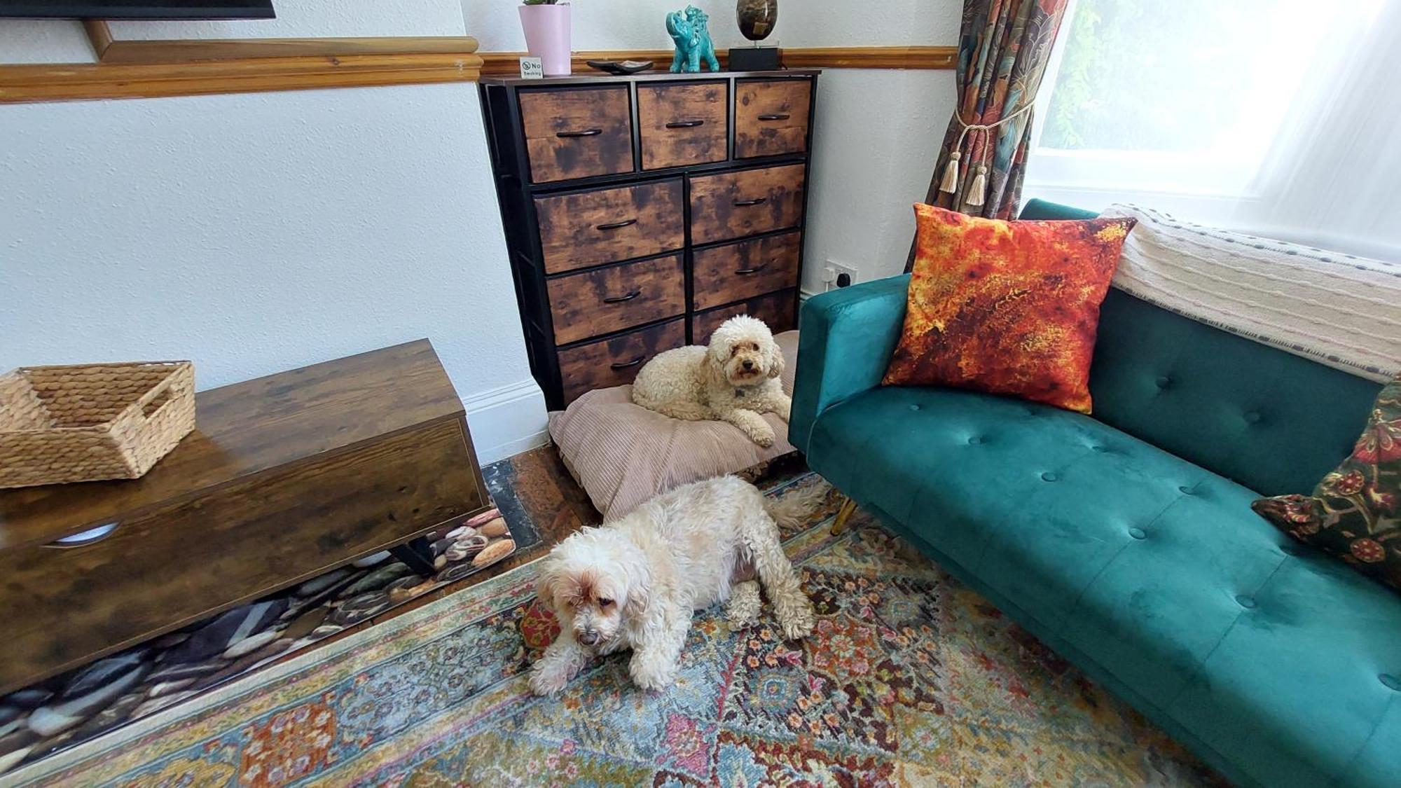 Pebbles Place Brighton Luaran gambar